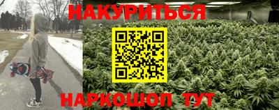 мяу мяу мука Нальчик