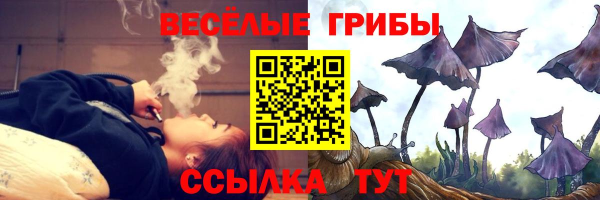 Псилоцибиновые грибы GOLDEN TEACHER  Галлюциногенные грибы ЛСД  Вход с VPN  Ртищево 